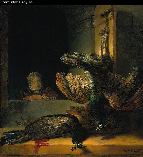 Rembrandt Peale Tote Pfauen